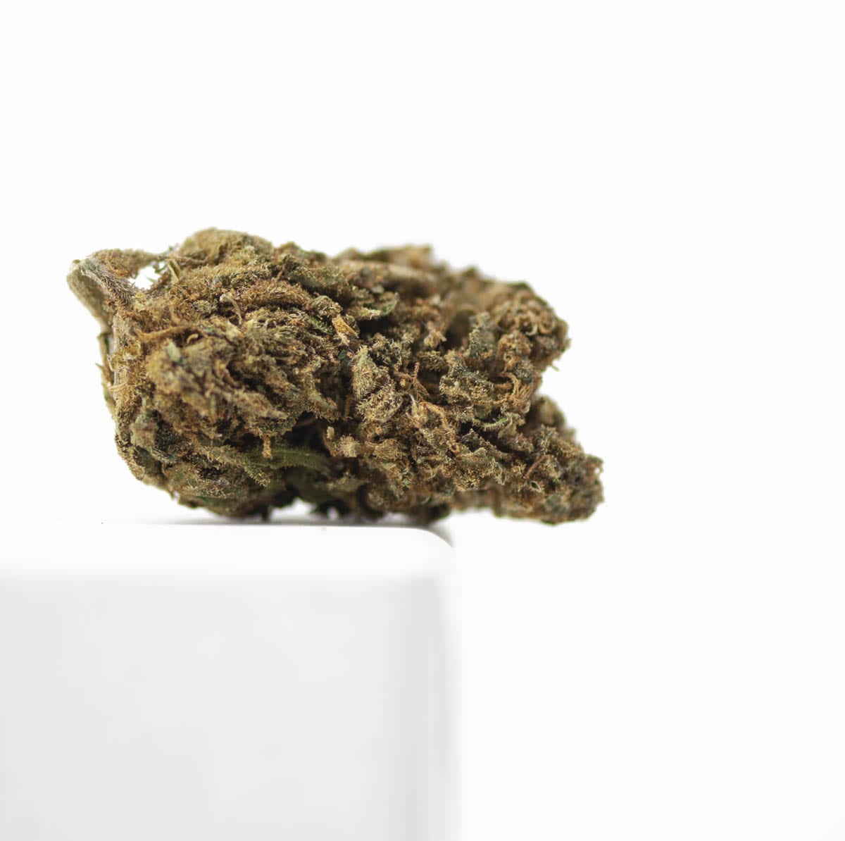 fleur de cbd Orange Bud 2