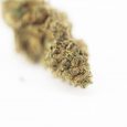 Puur Extract CBD - Fruit