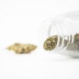 Puur Extract CBD - Fruit