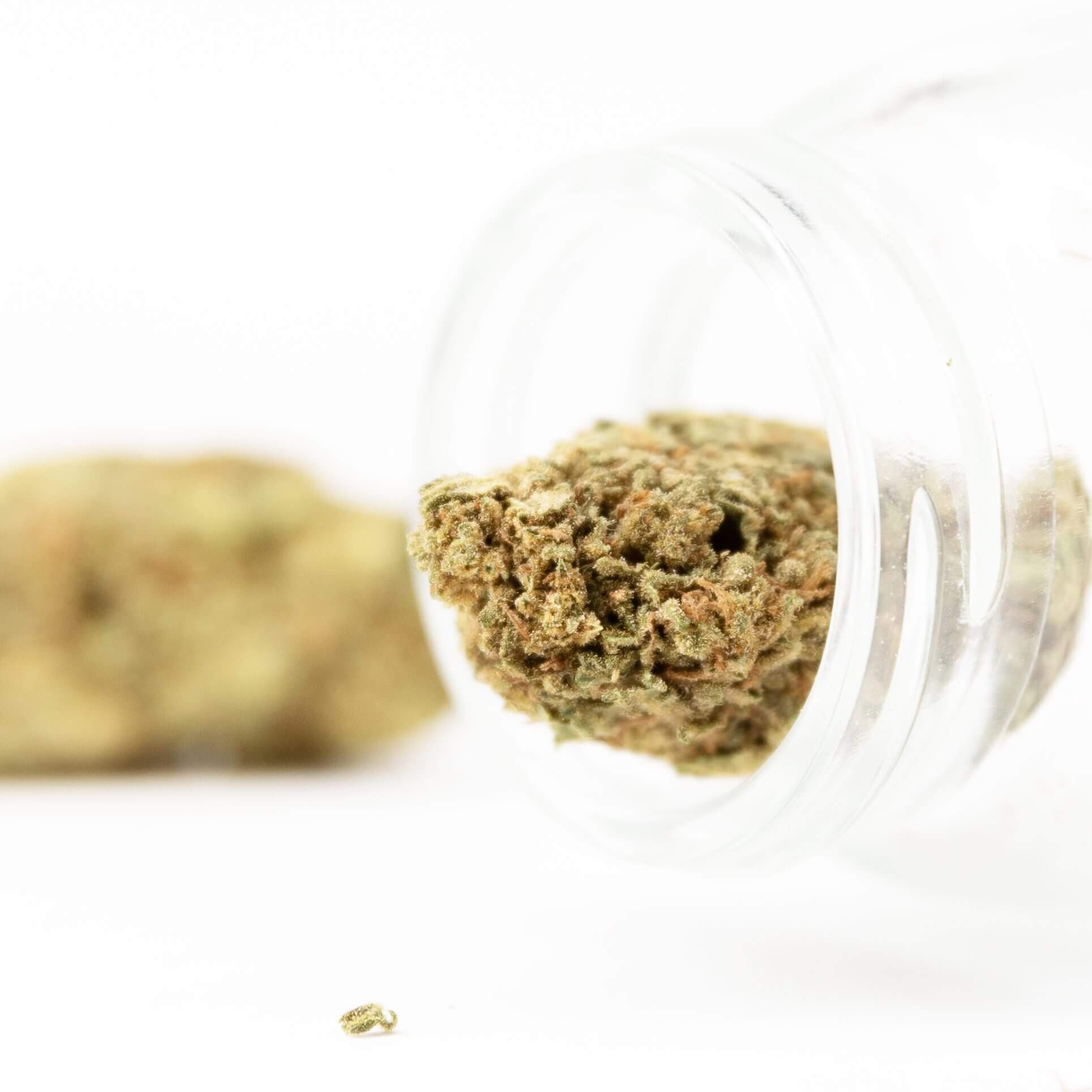 PEC_Gelato-2-4.jpg Pure Extract CBD - Gelato