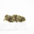 PEC_NY-Diesel-GH-3-scaled-1.jpg cbd flor N.Y. diesel 4