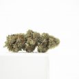 PEC_NY-Diesel-GH-4-scaled-1.jpg cbd flor N.Y. diesel 2