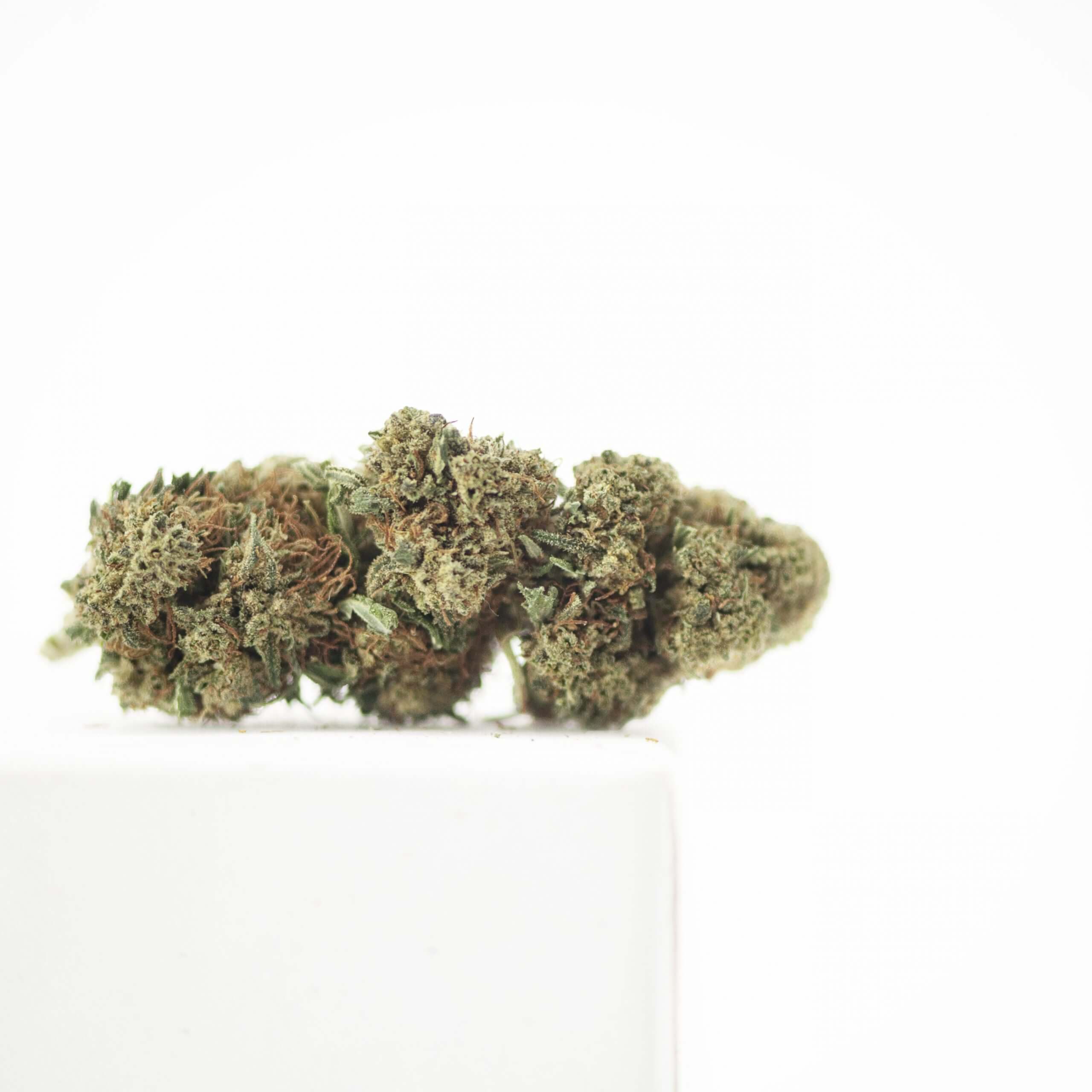 PEC_NY-Diesel-GH-4-scaled-1.jpg cbd flor N.Y. diesel 2