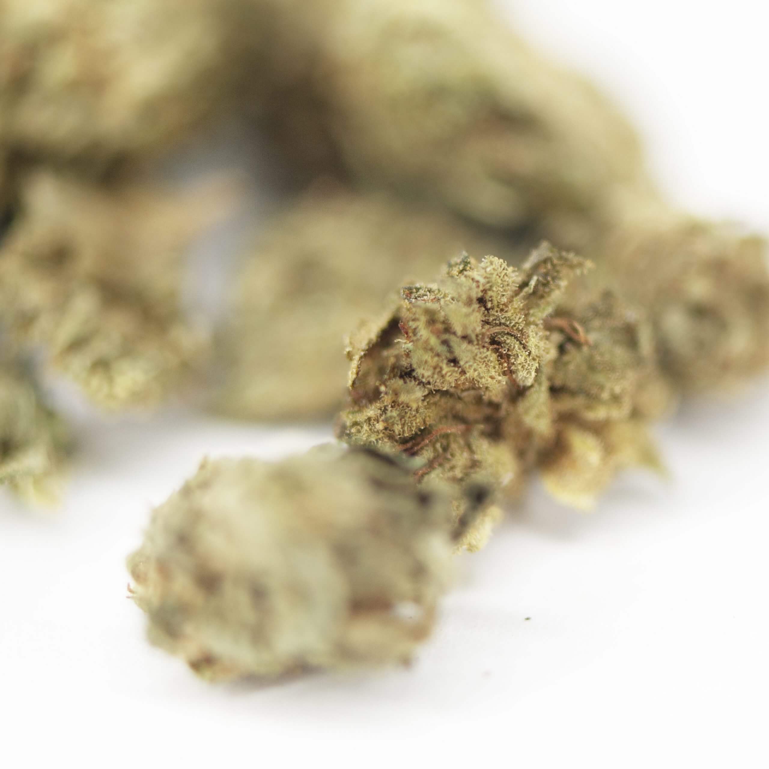 Extracto puro de CBD - Pop Corn Cannatonic
