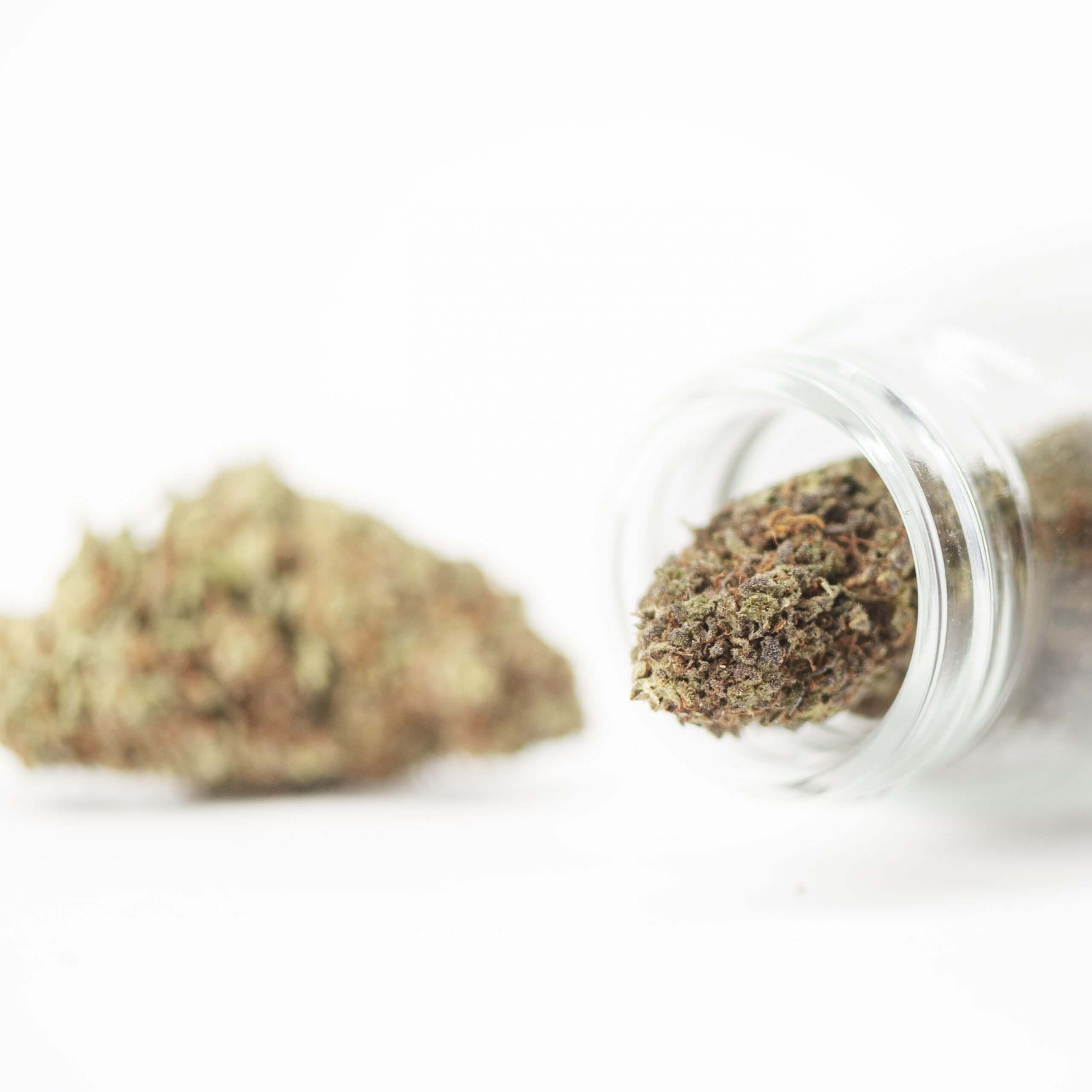 PEC_Strawberry-GH-5-scaled-1.jpg Extracto Puro CBD - Fresa GH