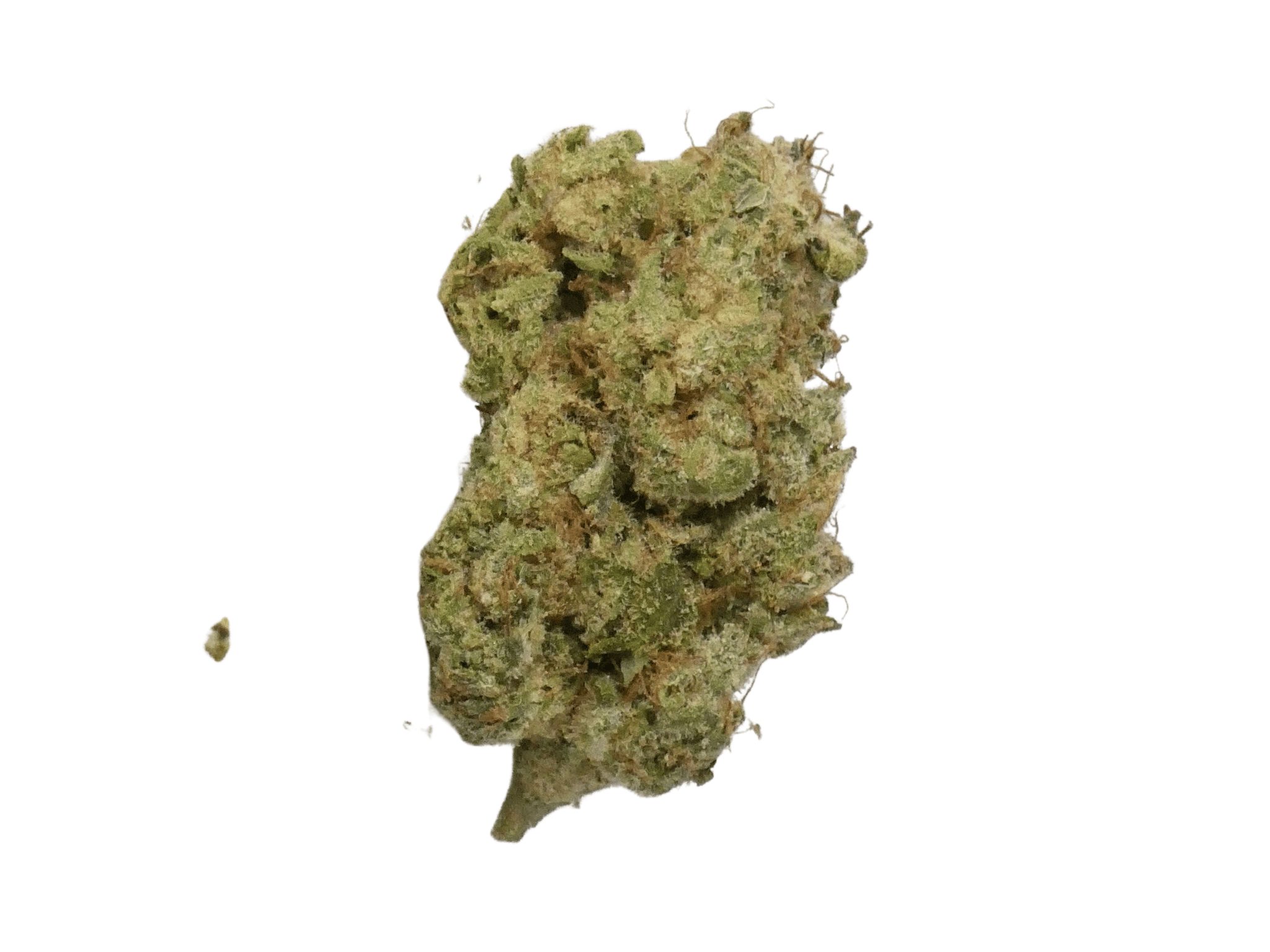 fleurs de cbd sunset sherbet