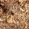 résine de cbd bulbe hash