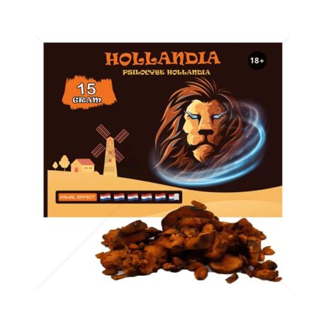 Psilocybe Hollandia Truffles