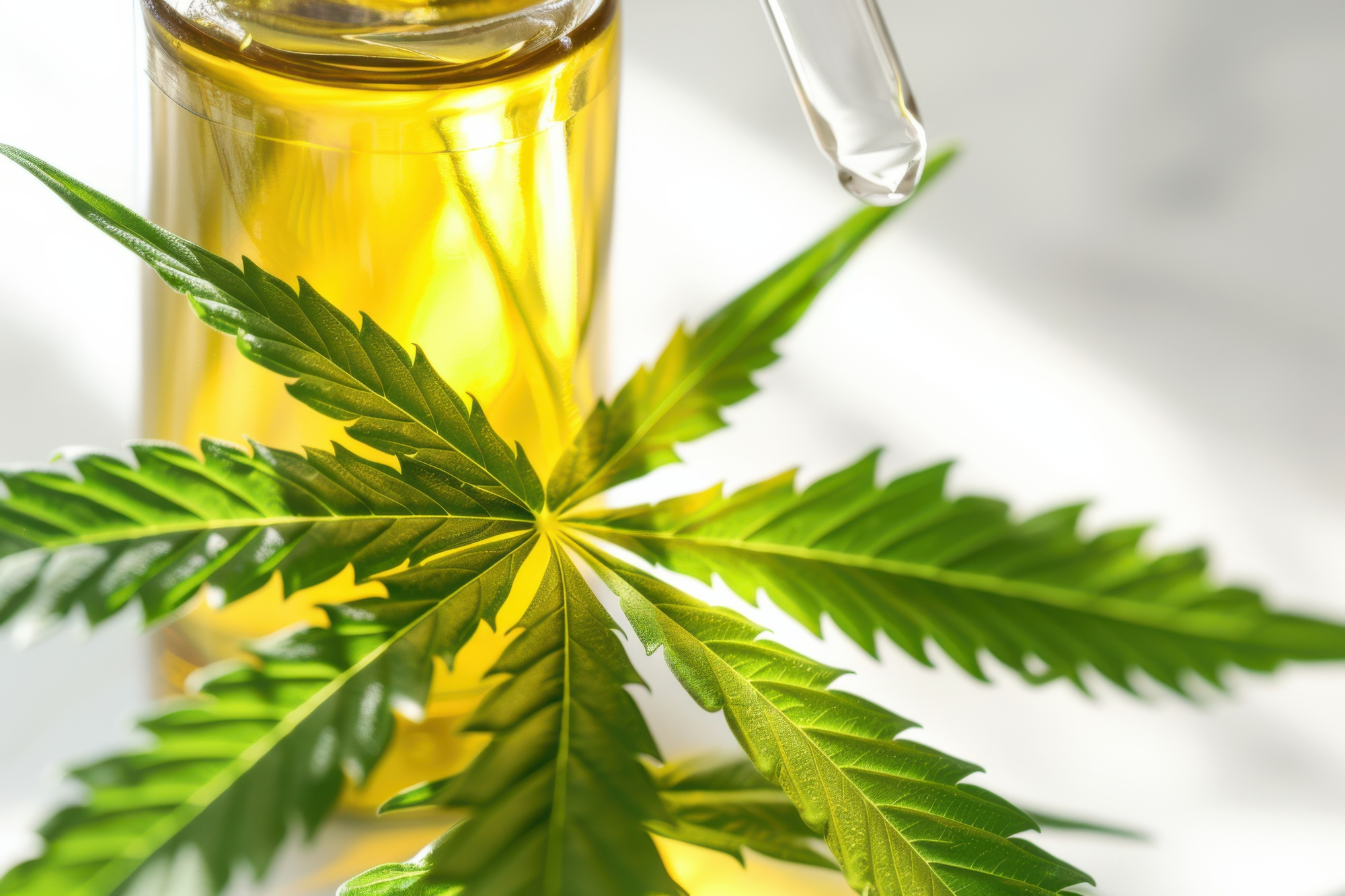 Descubra todo lo que necesita saber sobre el CBD: definición, diferencias con el THC, beneficios potenciales, legalidad en Francia, efectos secundarios y consejos para elegir los mejores productos en su farmacia. Una guía completa para responder a todas tus preguntas sobre el cannabidiol.