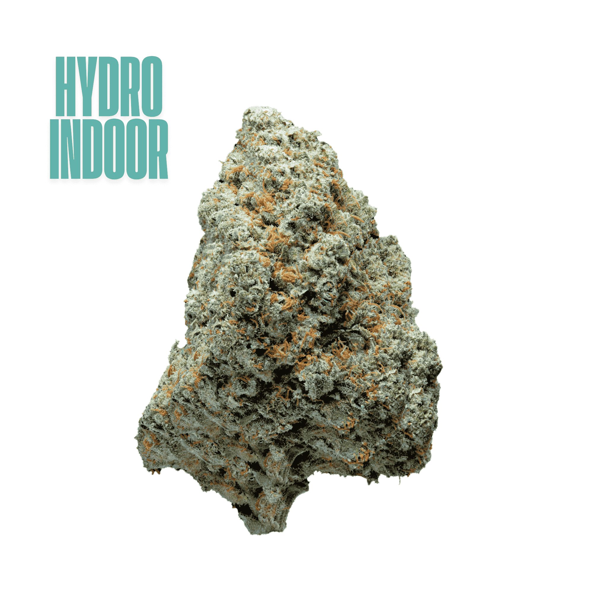 Amnesia hydro (2000 x 2000 px) amnesia haze cbd indoor