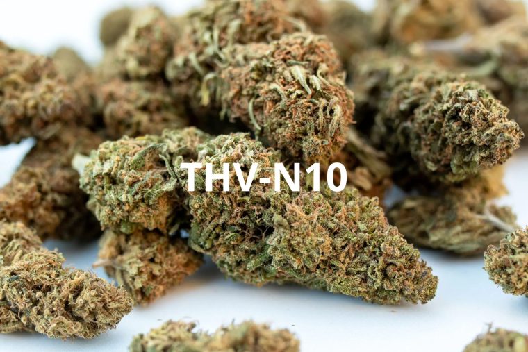 THV-N10 : Le Cannabinoïde Naturel et Légal Révolutionnaire pour une Relaxation Efficace