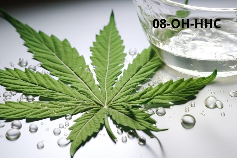 8-OH-HHC, qu'est ce que c'est ? Effets et comparaisons avec d'autres cannabinoïdes.