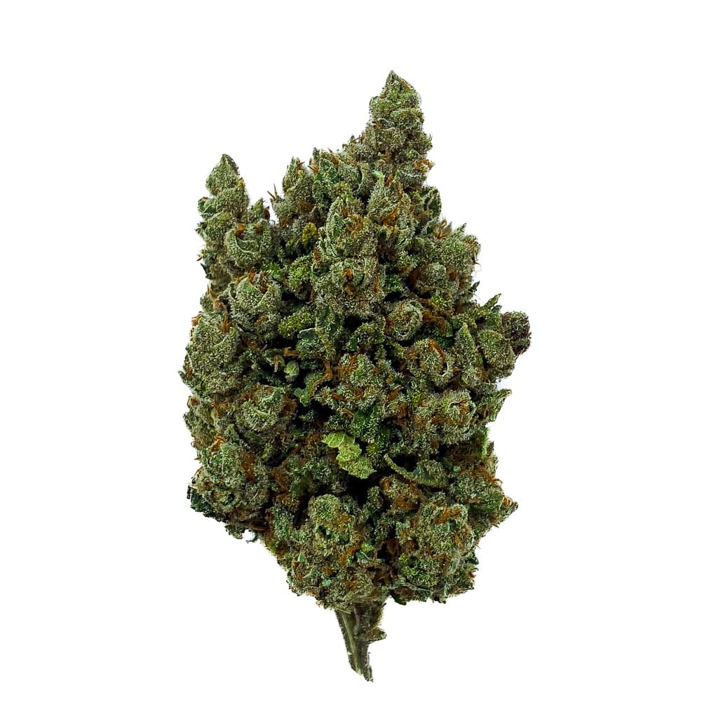 Orange Sherbet indoor - Pure Extract CBD
