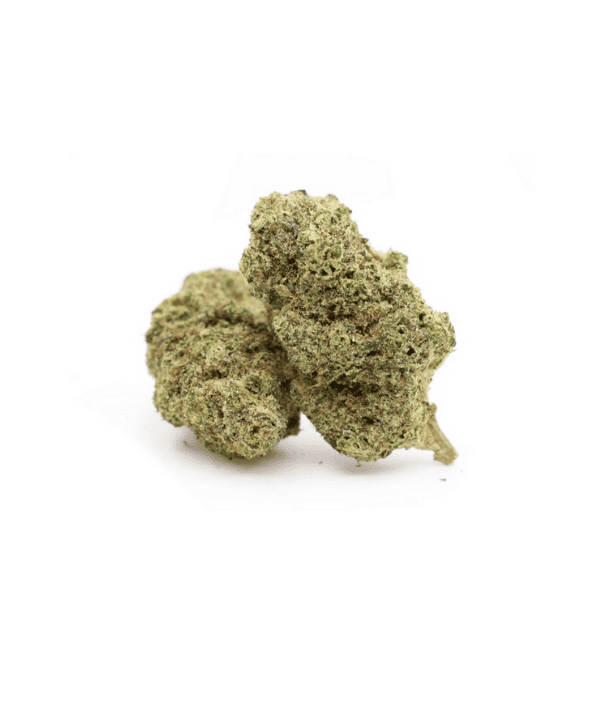 amsterdam express thca thca-Blumen