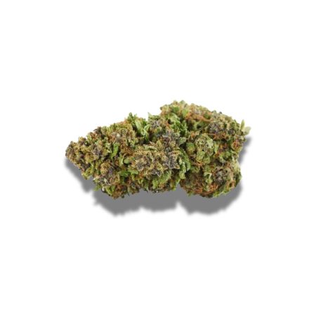 Amnesia Indoor THVN10