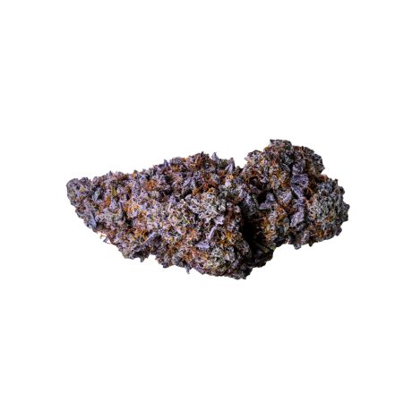 Purple Uruguay THVN10