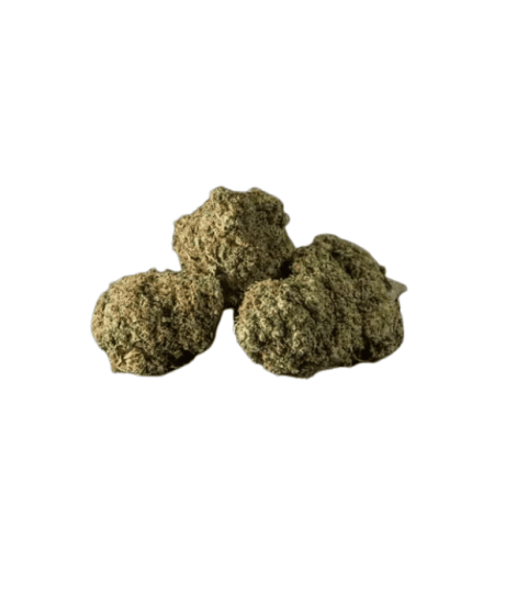 fiore fts biscotti indoor