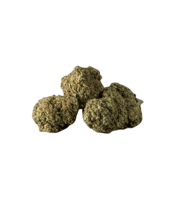 fleur fts biscotti indoor Blume FTS Biscotti Indoor