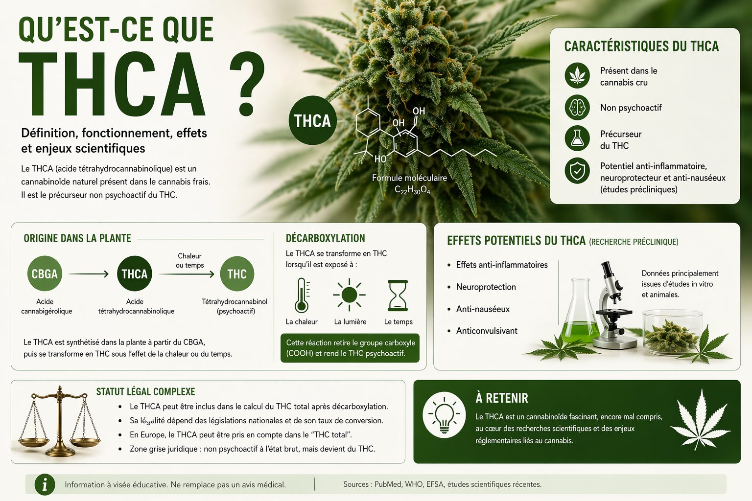 Qu’est-ce que le THCA Définition, fonctionnement, effets et enjeux scientifiques